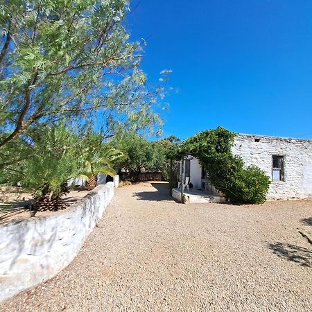 Olive Grove Cottage Koringberg Dış mekan fotoğraf