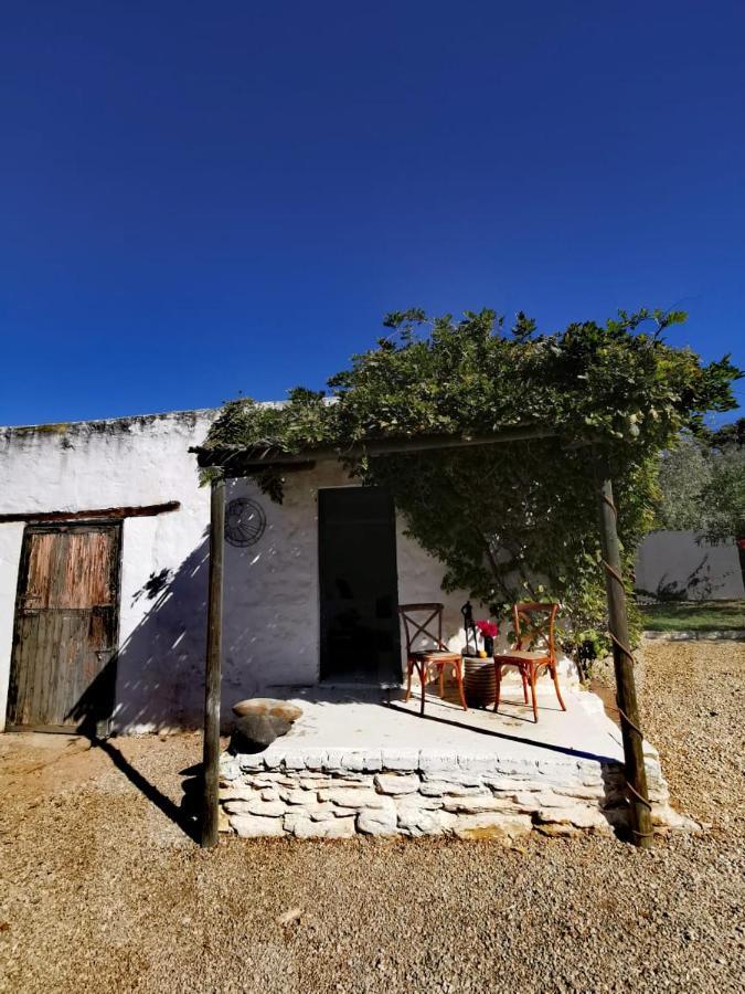Olive Grove Cottage Koringberg Dış mekan fotoğraf