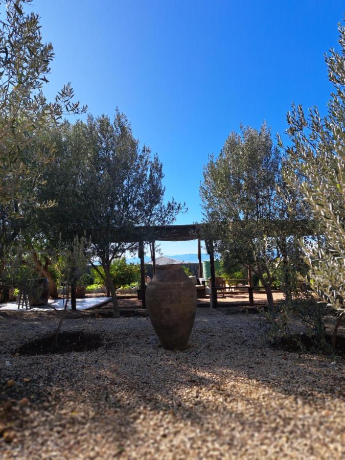 Olive Grove Cottage Koringberg Dış mekan fotoğraf