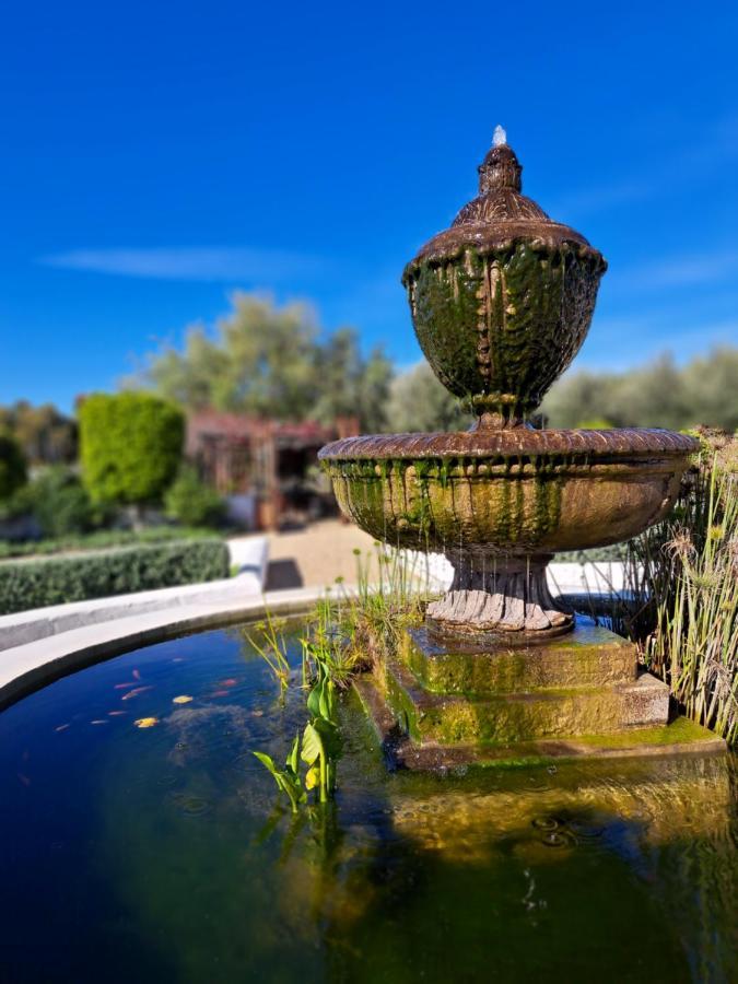 Olive Grove Cottage Koringberg Dış mekan fotoğraf