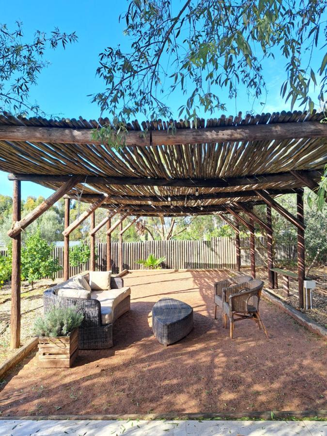 Olive Grove Cottage Koringberg Dış mekan fotoğraf